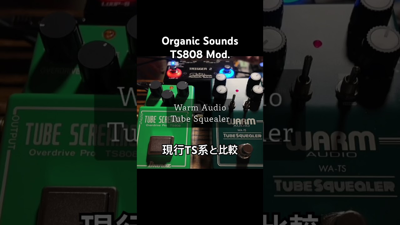 比較】Organic Sounds TS808 Mod. vs 現行TS系 - YouTube
