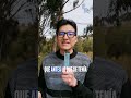 Ya puedes editar tus comentarios en Instagram