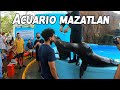 ACUARIO DE MAZATLÁN Tour completo 2020