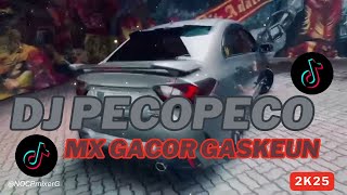 DJ PECOPECO MX GACOR GASKEUN 2025 G