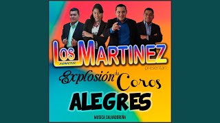 Video thumbnail of "Los Hermanos Martinez de El Salvador - Coros (Yo Soy Testigo)"