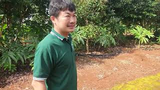 อะโวคาโด้ vlog ep.162 เที่ยวชมสวนอะโวคาโด้พบพระ แม่มาลี