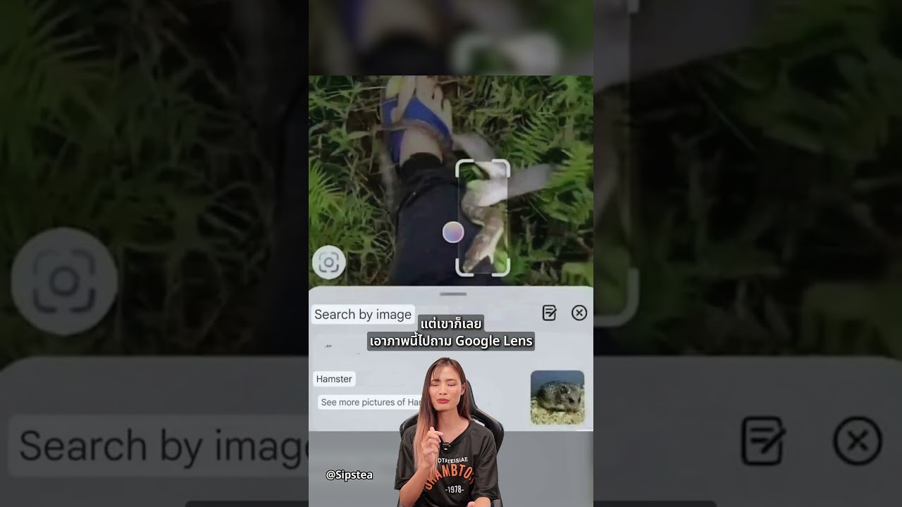 โดนงูกัดถาม Google Lens ว่านี่คืองูอะไร คำตอบที่ได้คือแฮมสเตอร์..