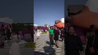 Slow Walking Behind My Friendshort