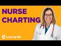 Nurse Charting - How to chart accurately and where not to cut corners.