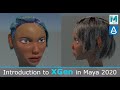 Introduction to XGen in Maya 2020: Fundamentals