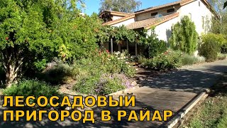 Что такое лесосадовый пригород в РАЙАР? Это новая форма загородной жизни!