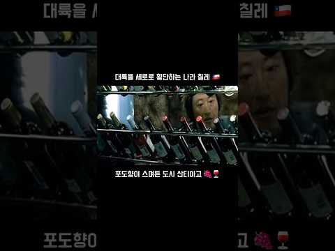 #세계여행 #자유여행 #배낭여행 #칠레 #chile #산티아고 #santiago