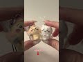 #unboxing #unbox #cute #xh #toys #minariviu