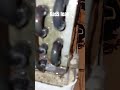 window ac gass leak testing #acservice #acgas #technician #shorts #viral #trending #acrepair #bestac