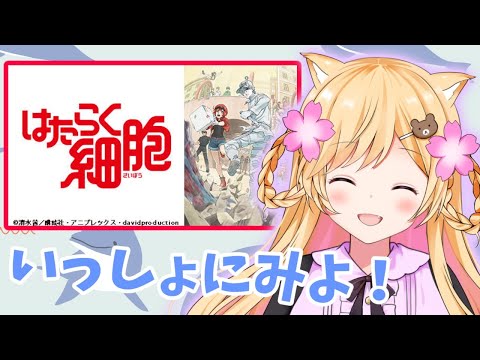 【同時視聴】みんなではたらく細胞をみよう！【Vtuber】