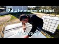34 progresser sur nos 4 hectares de terrain au portugal