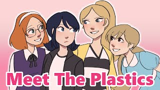 Meet The Plastics Miraculous Ladybug Animatic