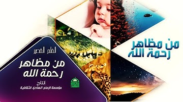 الفيلم القصير | من مظاهر رحمة الله - أفلام قصيرة من هدي القرآن الكريم
