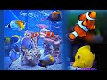 Marine Fish Aquarium in Mumbai 2021| Royal Marine Aquarium