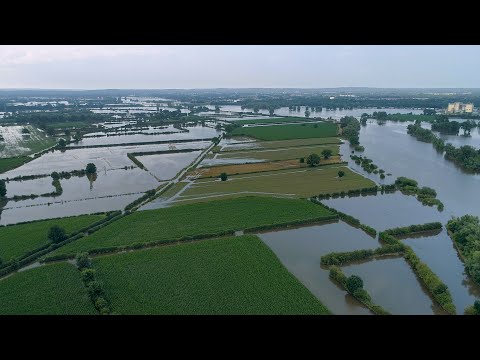 Video: Kako Holandija hrani svijet?