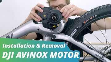 Motor vervangen op de Amflow PL Carbon met DJI Avinox | Tutorial 🔧 | EBIKE24