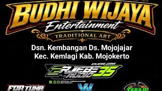 LUDRUK BUDHI WIJAYA Live Dsn Kembangan DS Mojojajar Kemlagi Mojokerto