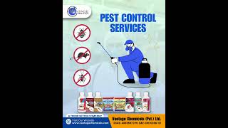 Complete Pest Control Services Your Ultimate Protection