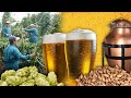 La cerveza. Elaboración tradicional de esta bebida fermentada | Oficios Perdidos | Documental