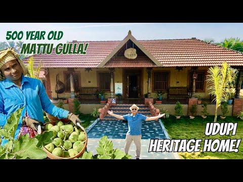 The 500-year-old Sacred Udupi Brinjal! 🍆 Exploring Mattu Gulla & A Riverfront Heritage Home