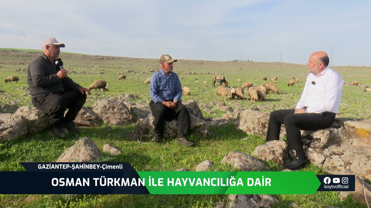 OSMAN TÜRKMAN İLE HAYVANCILIĞA DAİR - GAZİANTEP ŞAHİNBEY ÇİMENLİ