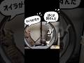 回したい方向が真逆ww 譲らない猫たちのホイール争奪戦🔥 #shorts #キャットホイール #3dプリンター