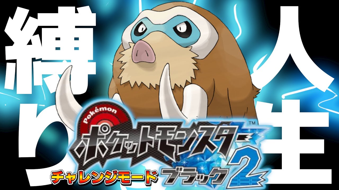 レベル上げ【鬼畜】 ポケモンBW2 チャレンジモード 人生縛り #8