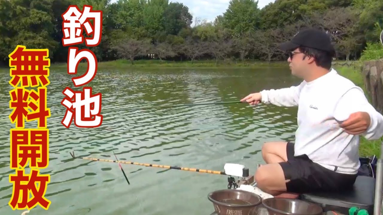 放流してるのに無料でへらぶな釣りができる公園の池をご紹介【北本総合公園】