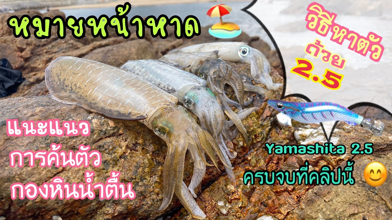 EP. 50 หมายข้างชายหาด แนวหินน้ำตื้น แนะนำวิธีหาตัว เจิร์ค 2.5 สไตล์ไหนถึงโดน