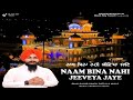 Naam bina nahi jeeveya jaye  bhai sahib singh patiala wale shri guru granth sahib ji