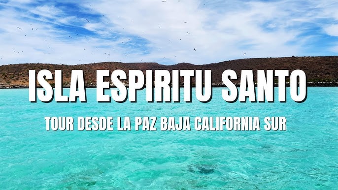 Espiritu Santo Island - La Paz