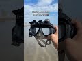 Link in my bio! 🤿👇#scubadiver #ocean #diving