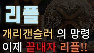 [리플 코인] 개리갠슬러의 망령 이제 끝내자 리플!!