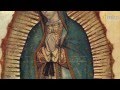 Nuestra Señora de Guadalupe. Dr. Ricardo Castañón Gómez