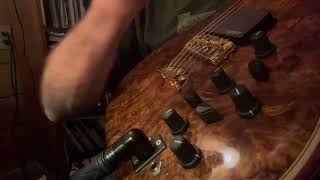 Alembic Series II Electric Guitar IMG 0154 2