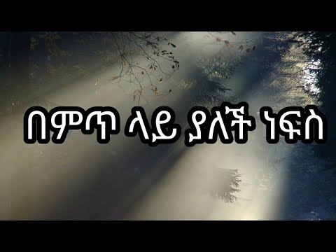 ቪዲዮ: የእናቶች በደመ ነፍስ ይፈለጋል