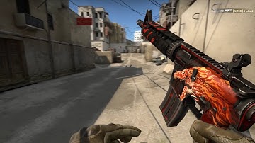 CS:GO  Video frag 4K with M4A4 Howl