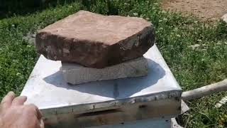 Aricilikta Şahi̇n Orhan Yöntemleri̇ Acemi Usta Bu Video Herkesin Yanında Bulunmalı.