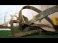 TVS: Babice Muzeum myslivcu pytl´aku