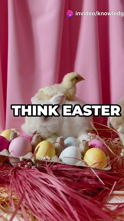 6 Animals That Bring Good Luck!