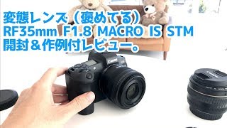 RF35mm F1.8 MACRO IS STM開封と作例付レビュー