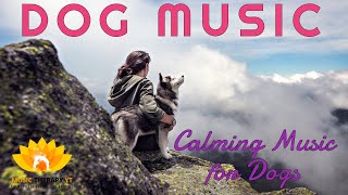 Dog TV Music Therapy | Separation Anxiety Remedy 🐶