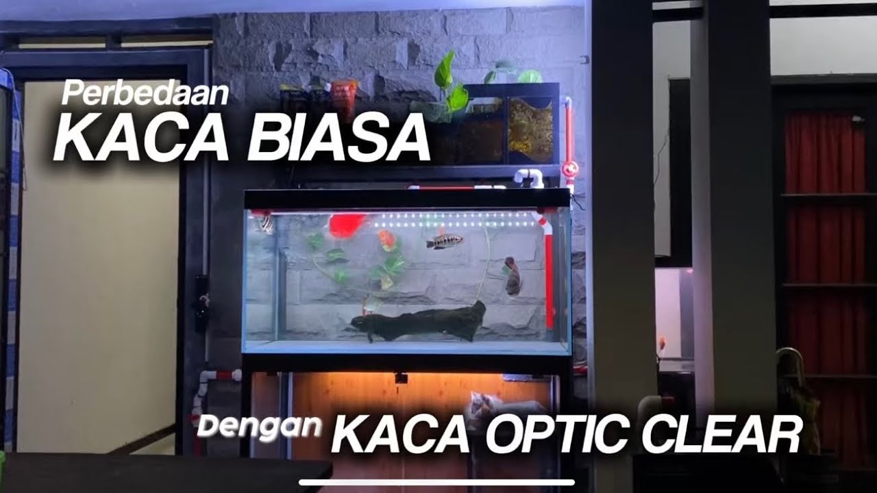 PERBEDAAN KACA BIASA DENGAN KACA OPTIC CLEAR✨ 