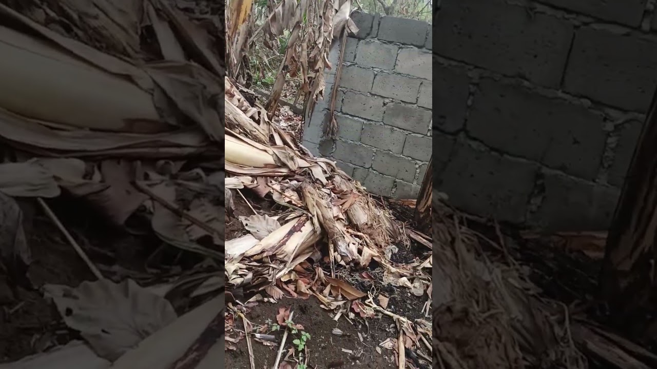 IPAPASYAL KO KAYO MUNA SA ATING PLANITA!! TARA GUYS!!!!! PUNO NG KABABAGHAN!!!! PINDOT NA!!!!