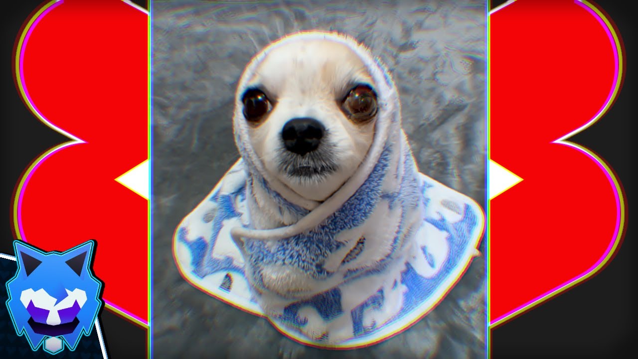 Did YouTube Shorts Get Any Better? • Web Travelers