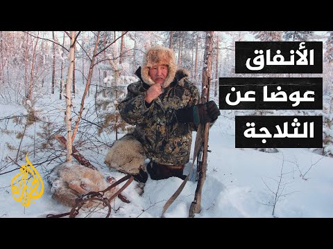 لماذا يستخدم سكان ياقوتيا الأنفاق والحفر لتخزين موادهم الغذائية؟