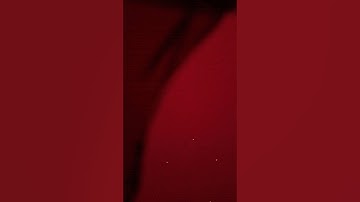 تلاوة سورة الفاتحة بصوت الشيخ عمر الأركاني