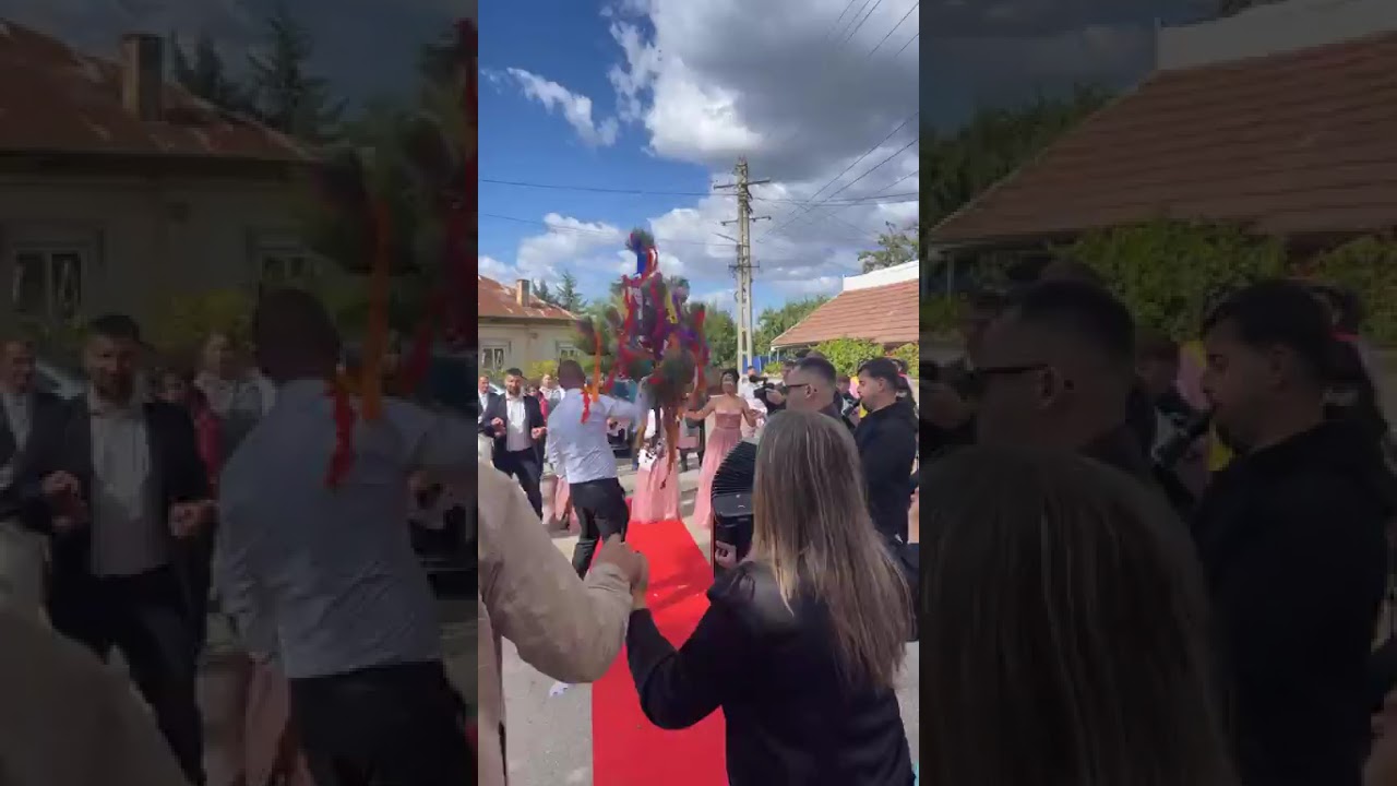 Adi Vladu - Hora Bradului nunta (Formația MELODIC)