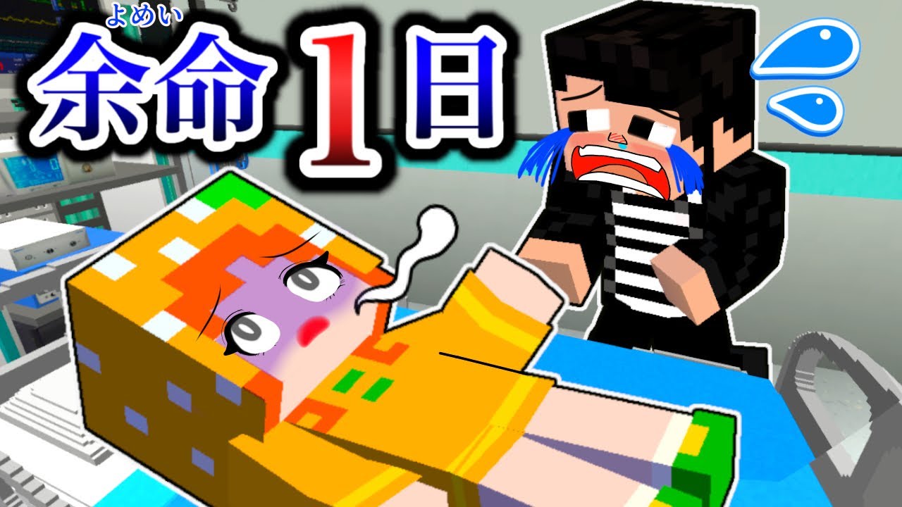 【あと1日の命…】余命を告げられた小学生😭(マイクラアニメ/ここちゃん)